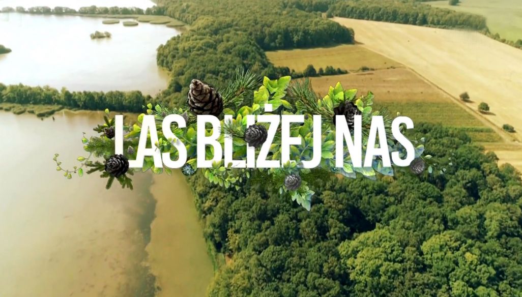 Las Bliżej Nas