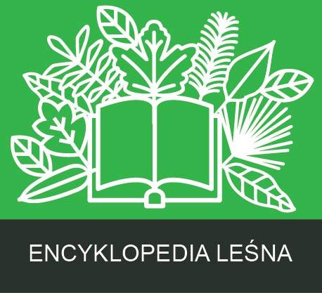 Strona główna leśnej encyklopedii