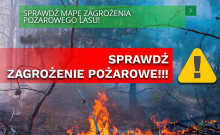 Sprawdź zagrożenie pożarowe w lasach w Twojej okolicy