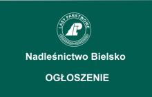 Proces wyznaczania starolasów w Nadleśnictwie Bielsko